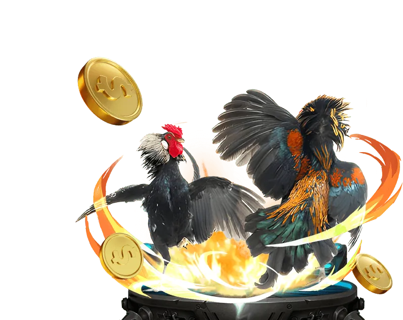 Tổng quan về các chương trình khuyến mãi pg66